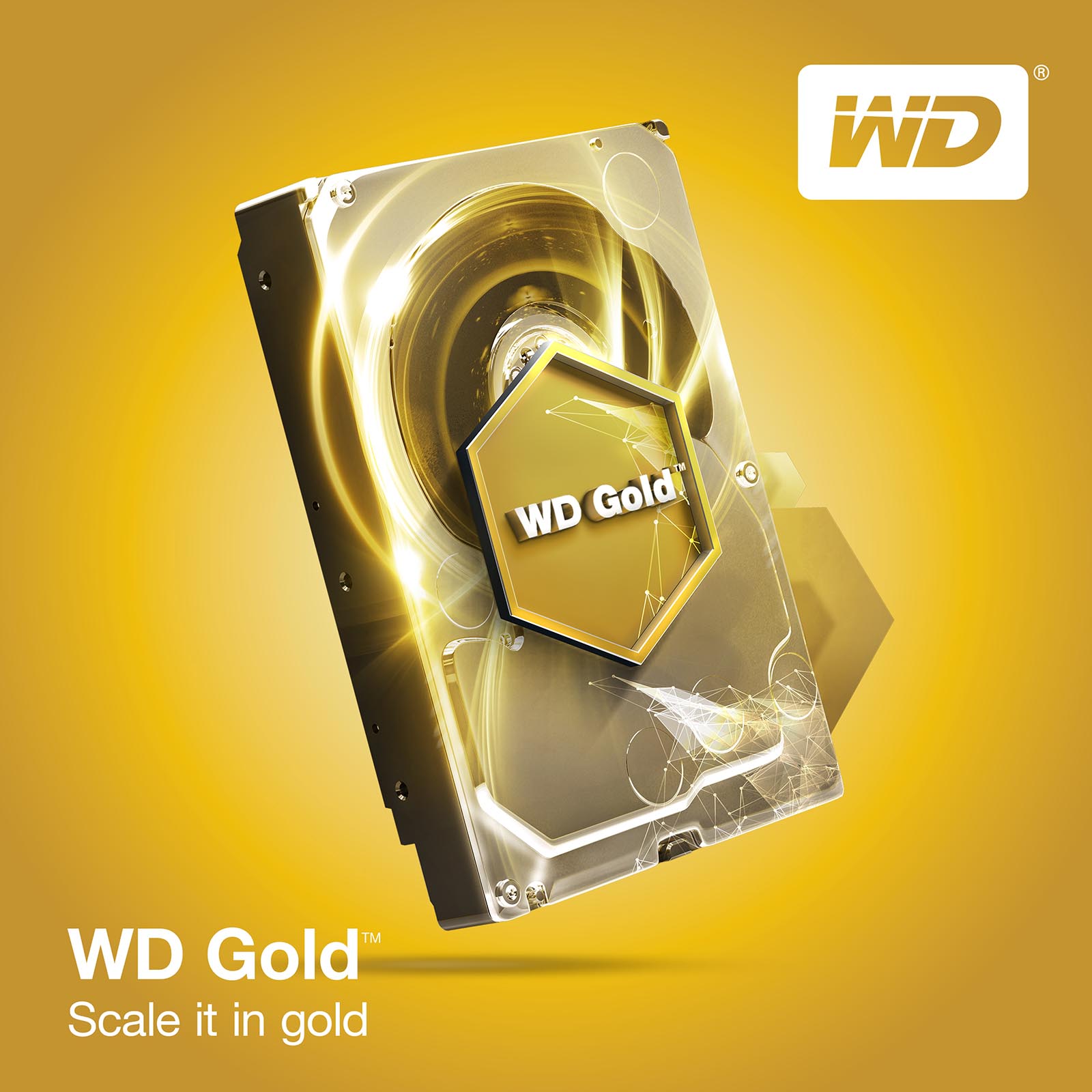 WD Gold Festplatte mit 10 TB