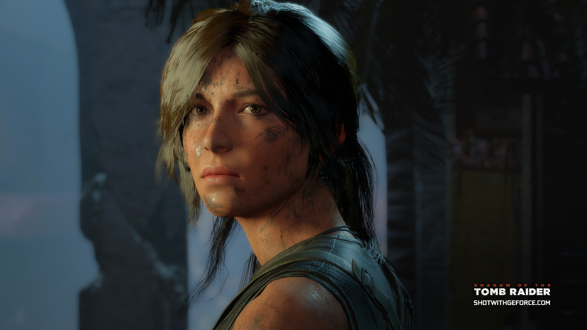 Nivida Shadow of the Tomb Raider