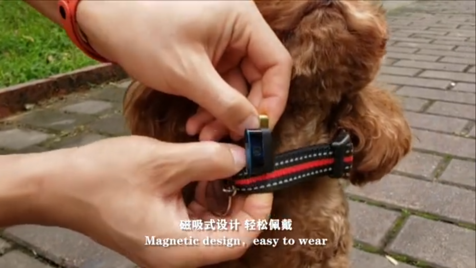 Mit weiterem Zubehör lässt sich die Kamera des Vivo IFEA auch an Halsbänder von Hunden anbringen.