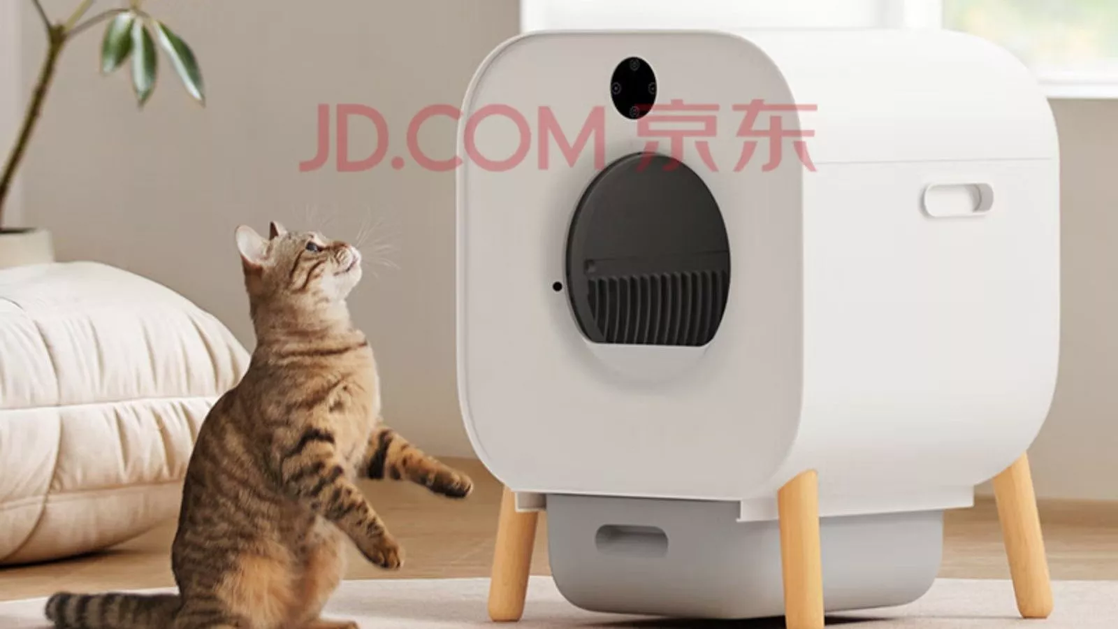 Xiaomi smarte Katzentoilette mit Katze