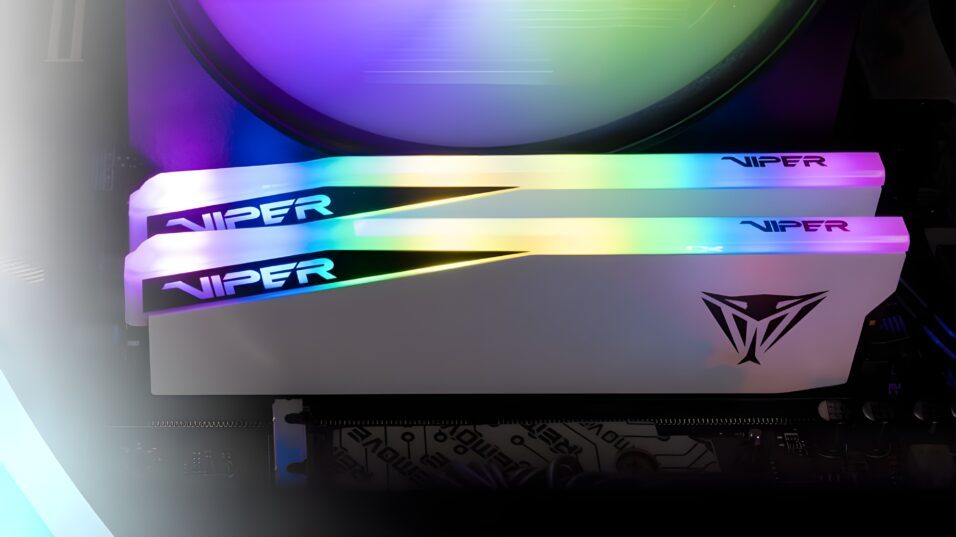 Patriot Viper Elite DDR5-6000 Arbeitsspeicher mit eingeschalteter Beleuchtung