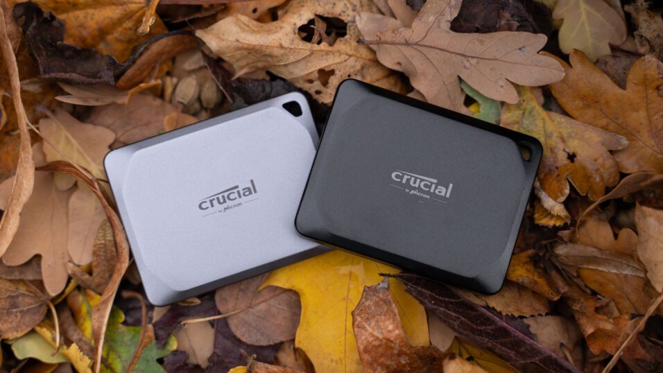 Die Crucial X9 Pro und Crucial X10 Pro SSDs liegen auf Herbstlaub.