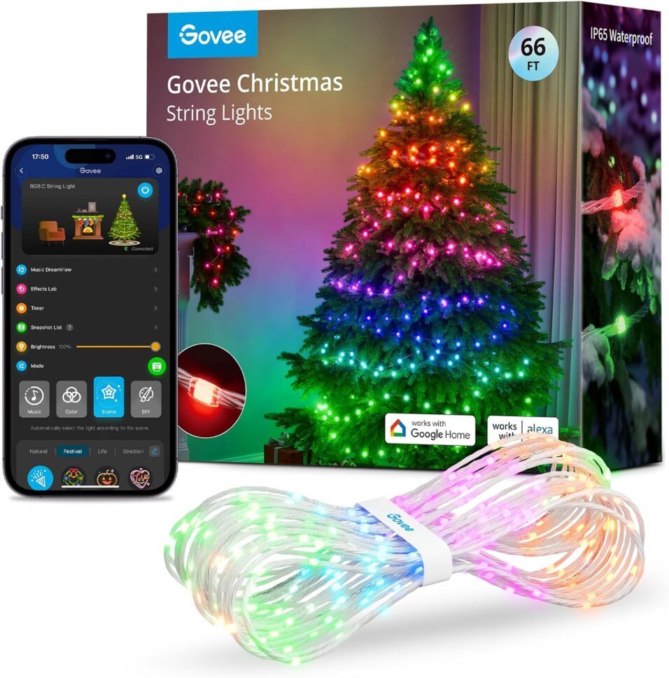 Govee Christmas Lights Verpackung