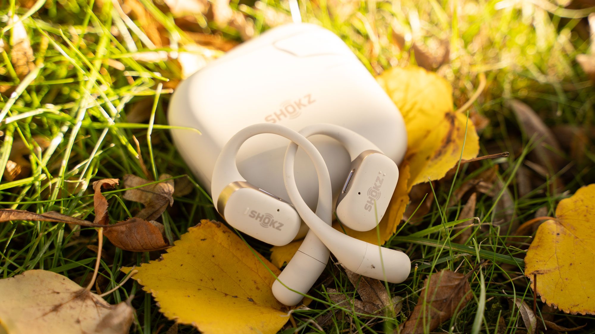 Shokz OpenFit Kopfhörer mit Ladehülle auf Wiese mit Herbstlaub liegend.