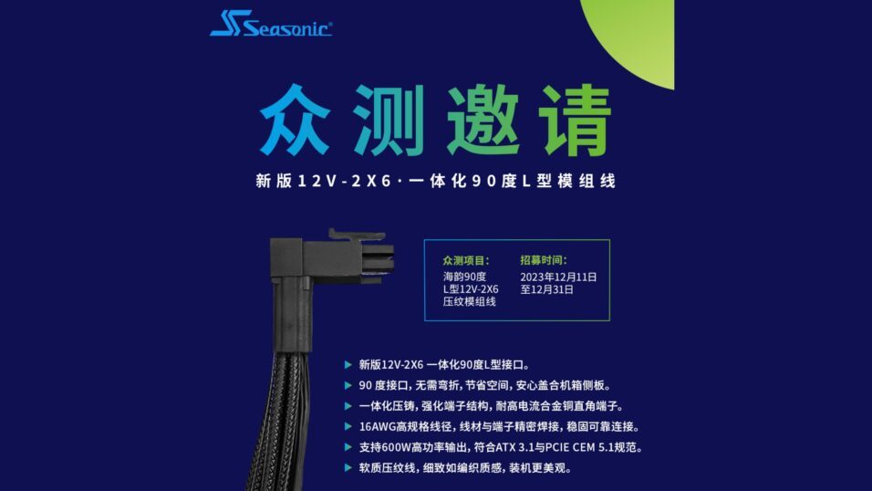 Seasonic 12V-2x6 Kabel mit chinesischem Infotext.