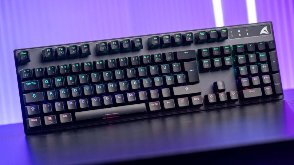 Sharkoon Skiller SGK20 Gaming-Tastatur stehend