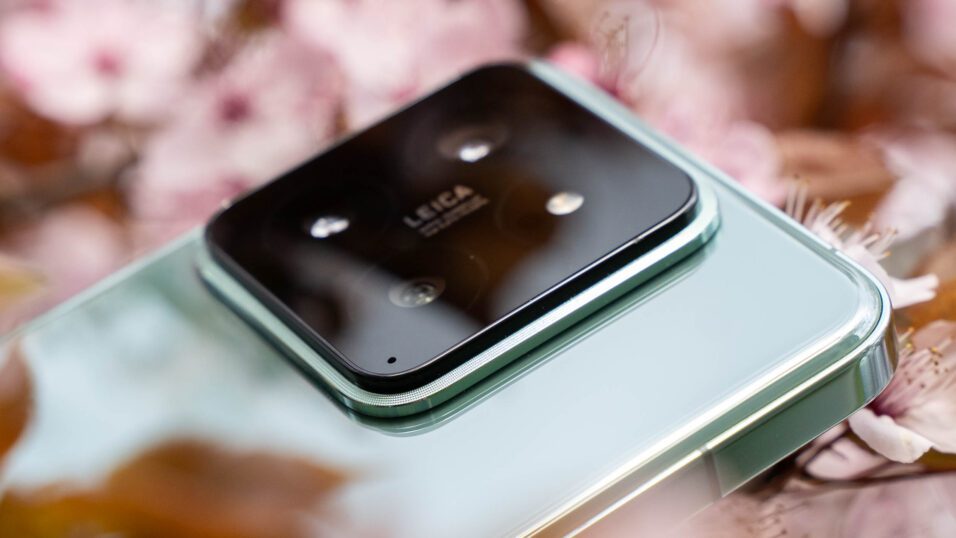 Xiaomi 14 Kamera vor Kirschblüten